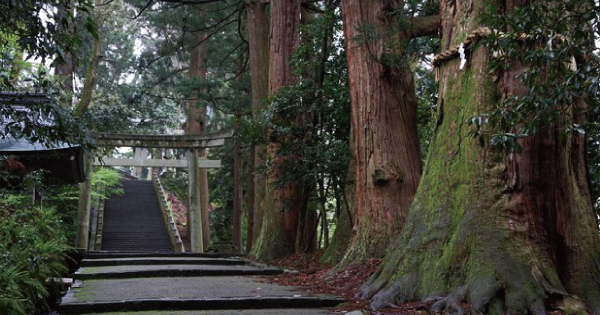 神社仏閣にお参りするといつも思い出す。あの日はご神木の近くで友達と遊んでいた。墓か何かの近くの土が盛り上がっていたので、面白半分に掘ってみたら、小さな箱のようなものが出てきた。そして・・・