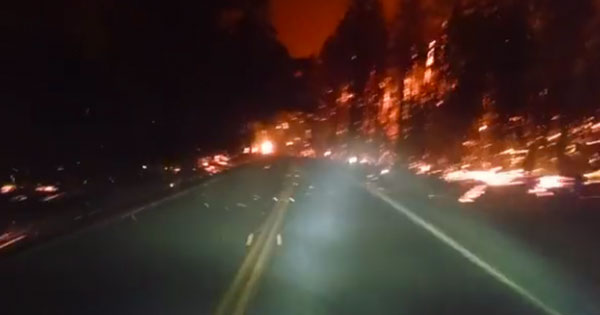 山火事から決死の脱出！炎の中を駆け抜ける車載カメラの衝撃映像！脱出は成功したのだろうか？カリフォルニアの山火事に巻き込まれた車の運命は！？