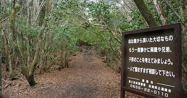 【画像】圧倒的風景…世界、そして日本の有名自殺スポット15選エッフェル塔に青木ヶ原、JR中央線まで…世界が認める自殺スポットをご紹介…