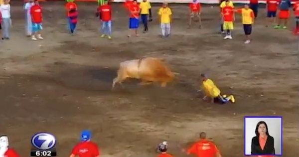 【動画】寝れば突っ込んでくる闘牛避けれるんじゃね？→結果…勢いよく吹き飛ばされました…命があっただけよかったですね…