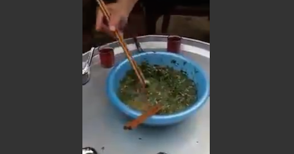 【エグ】中国人の魚の食べ方に絶句！生きたままタレに付け…　欧米人からだと「刺身」も抵抗があるのでしょうが、これはそれ以上にレベルの高い食事シーンの画像です。文化の差を感じます。